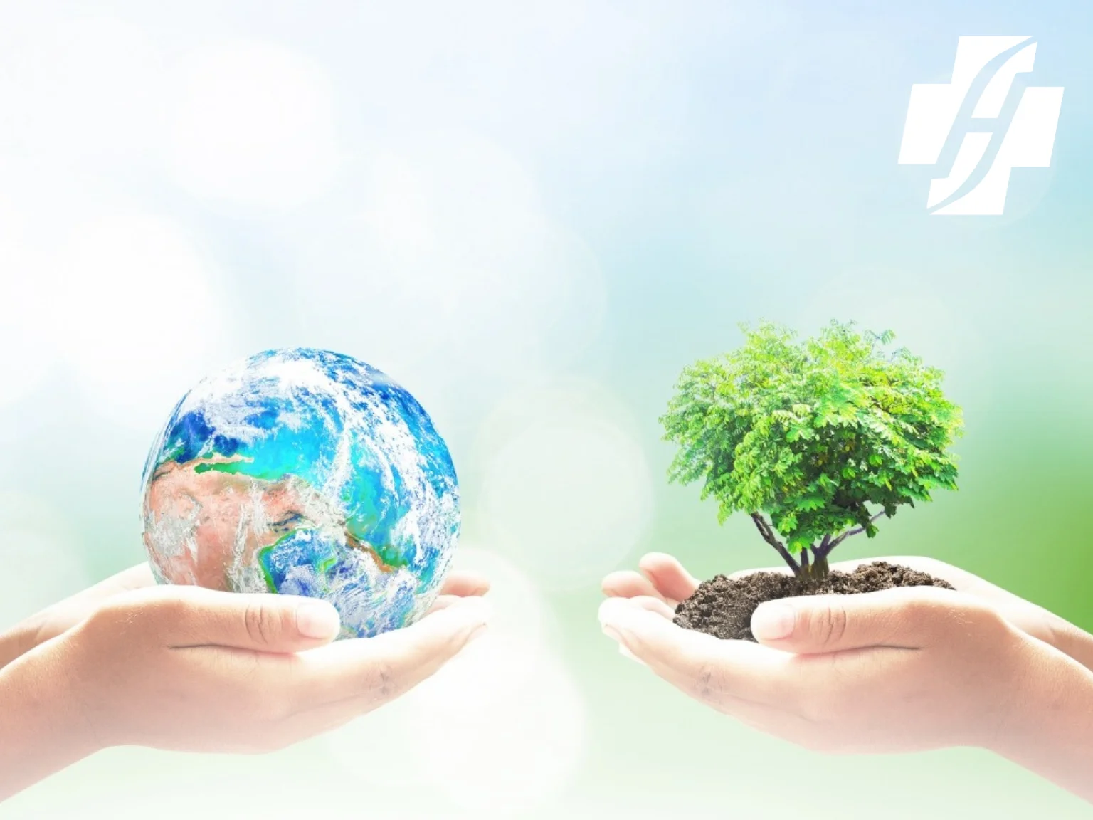 Día Mundial del Medio Ambiente